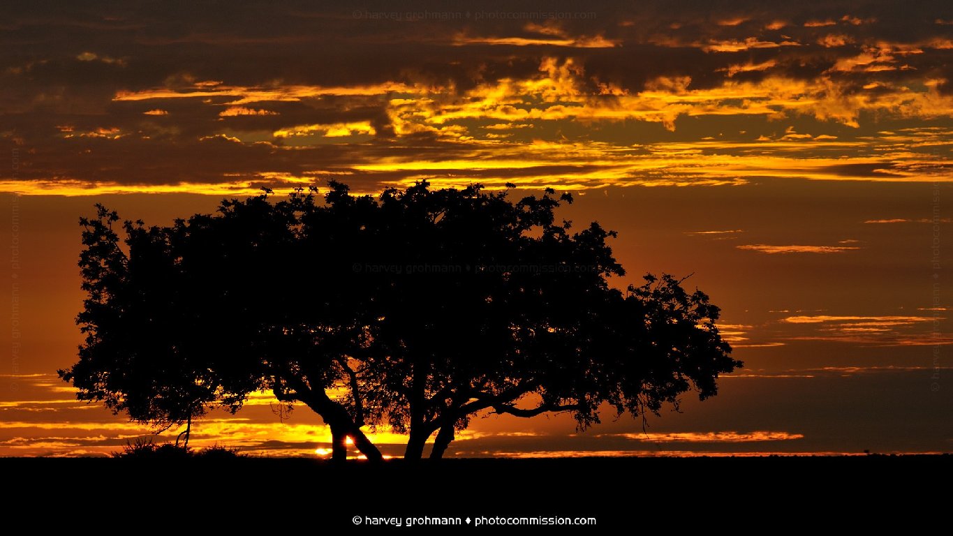 Satara Sunrise