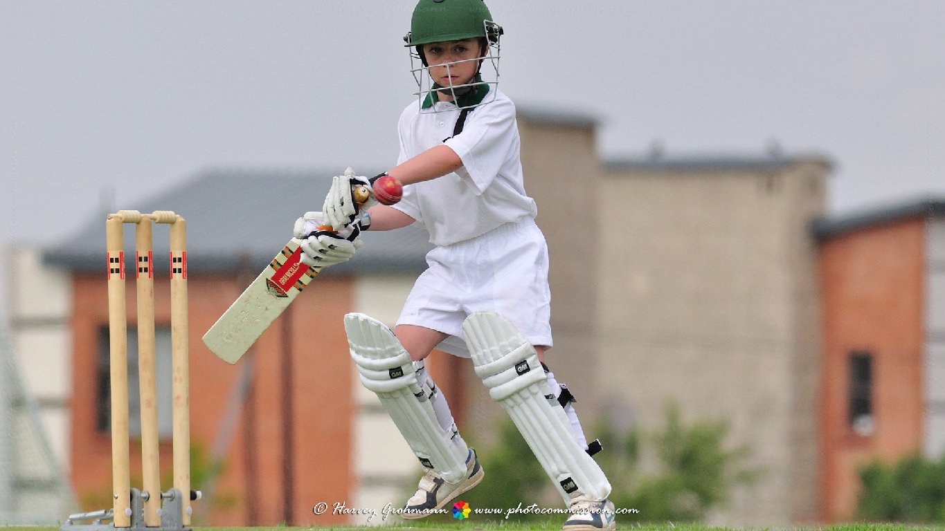U9 Cricket vs Sagewood